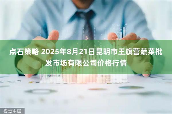 点石策略 2025年8月21日昆明市王旗营蔬菜批发市场有限公司价格行情