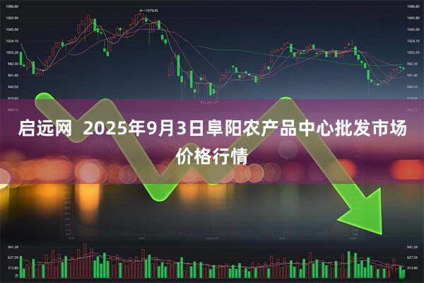 启远网  2025年9月3日阜阳农产品中心批发市场价格行情