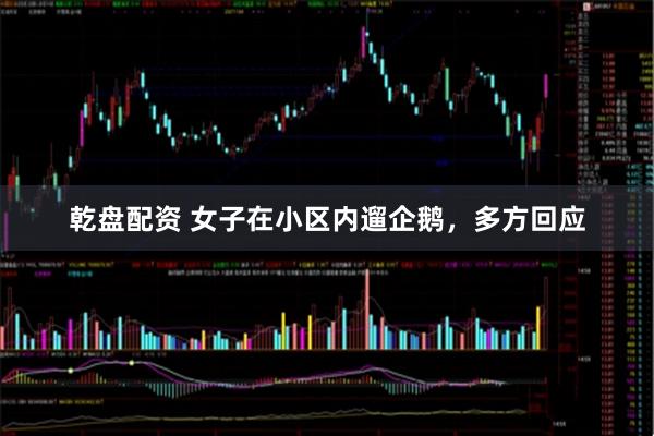 乾盘配资 女子在小区内遛企鹅，多方回应